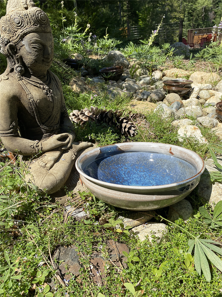 NCW Budha bowl