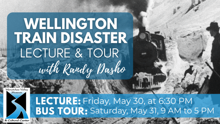 Wellington-banner
